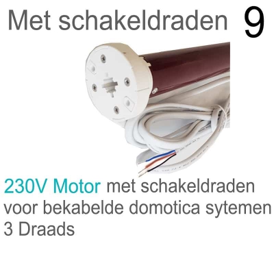 Brel Motor 9